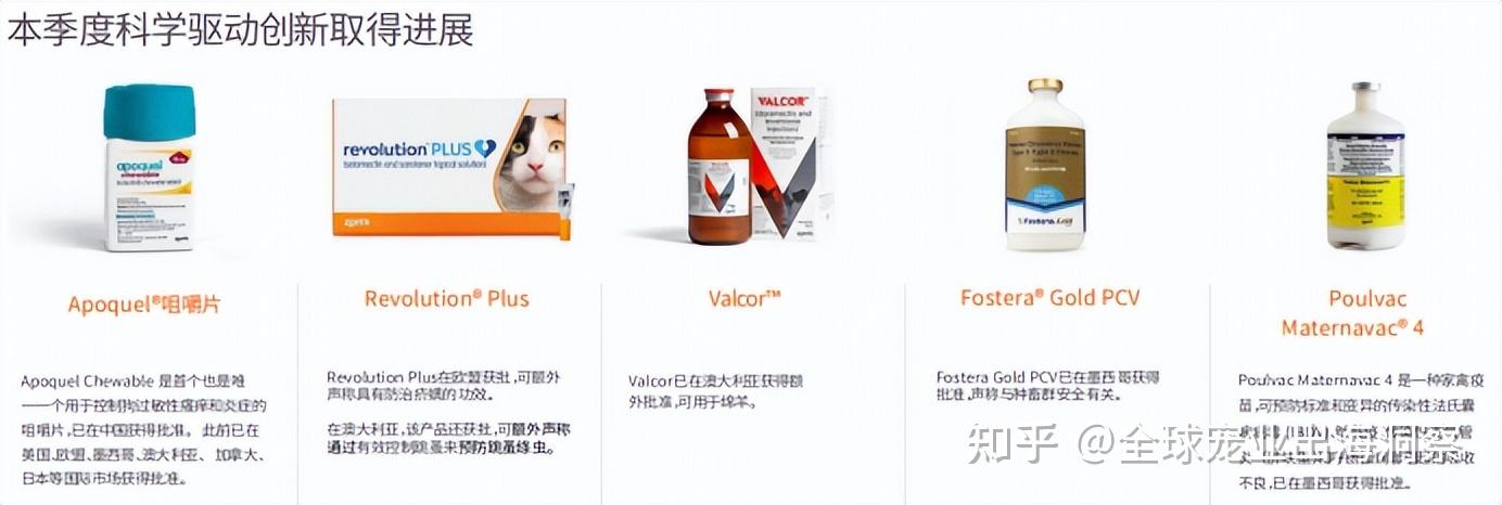 全球卖了快500亿,市值近6000亿的硕腾在中国却举步艰难 - 知乎