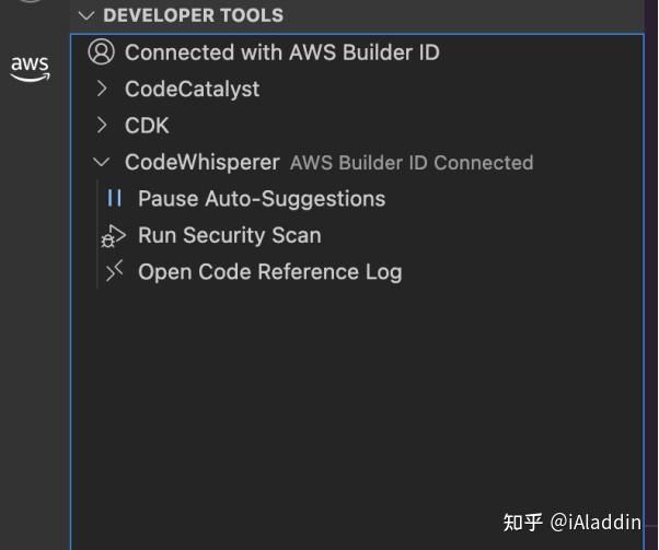  codewhisperer 