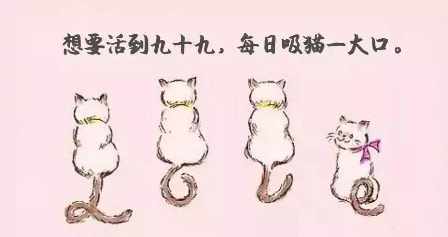 中关村青年吸猫成瘾抓猫娃娃机竟成新型鸦片