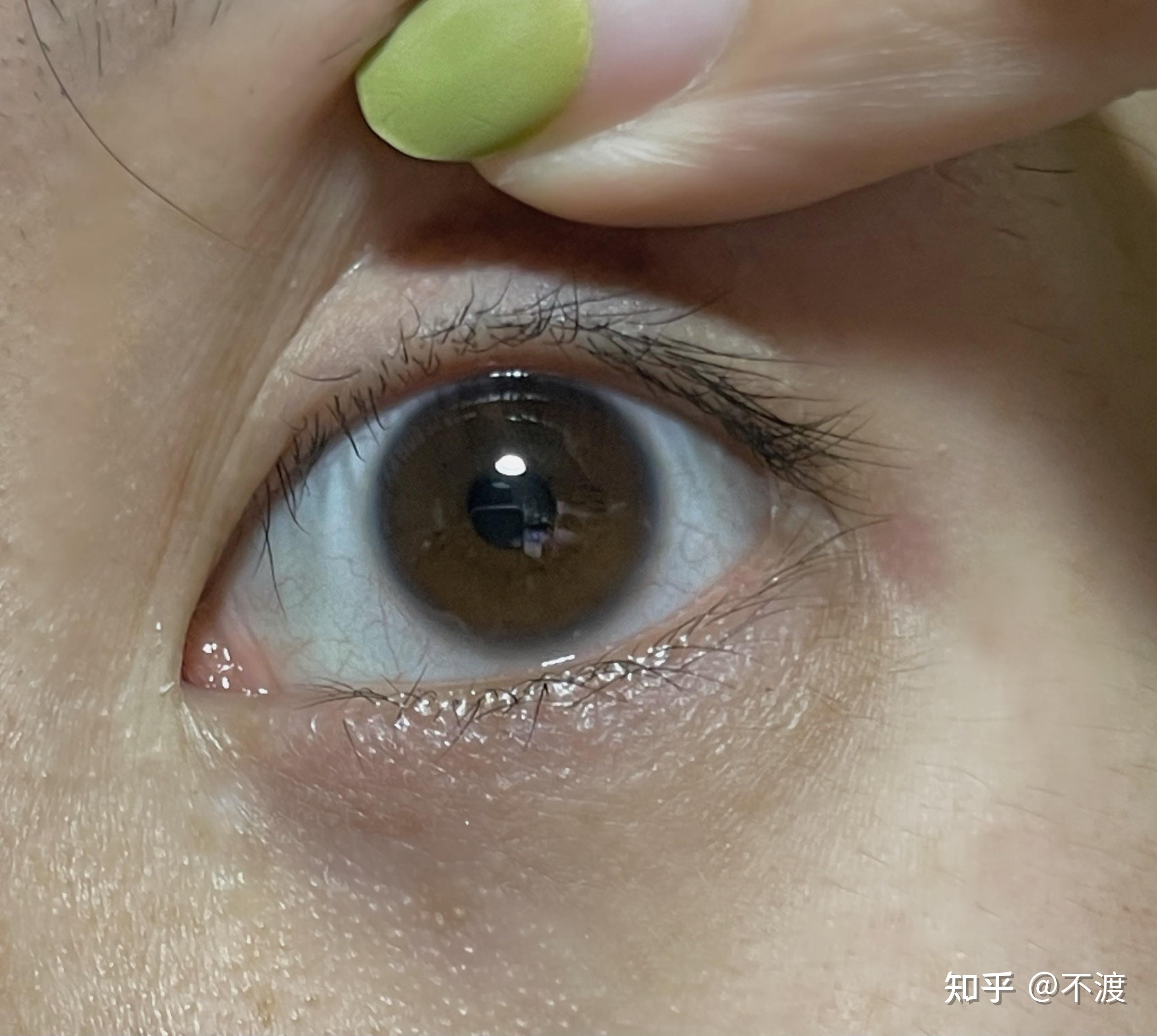 双层睫毛长什么样子? - 知乎