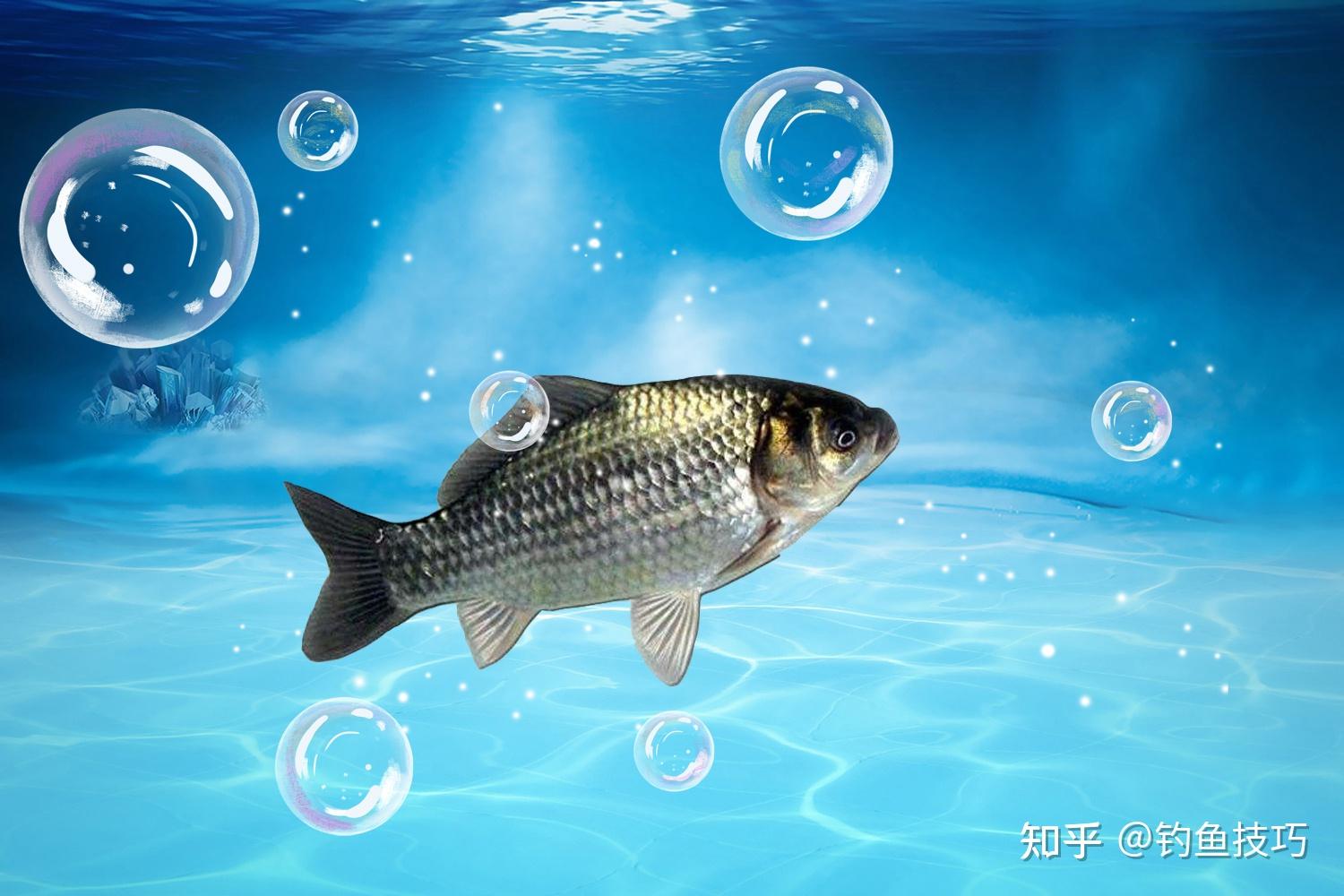 手绘动物卡通吐泡泡的花纹小鱼简笔画设计元素图片_ID:405875800-Veer图库