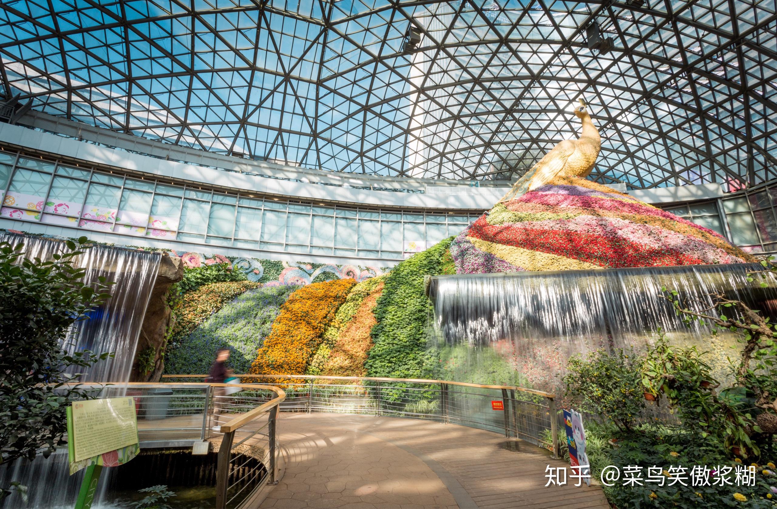 云南昆明「花之城」有什么值得推荐的游玩攻略和体验分享?