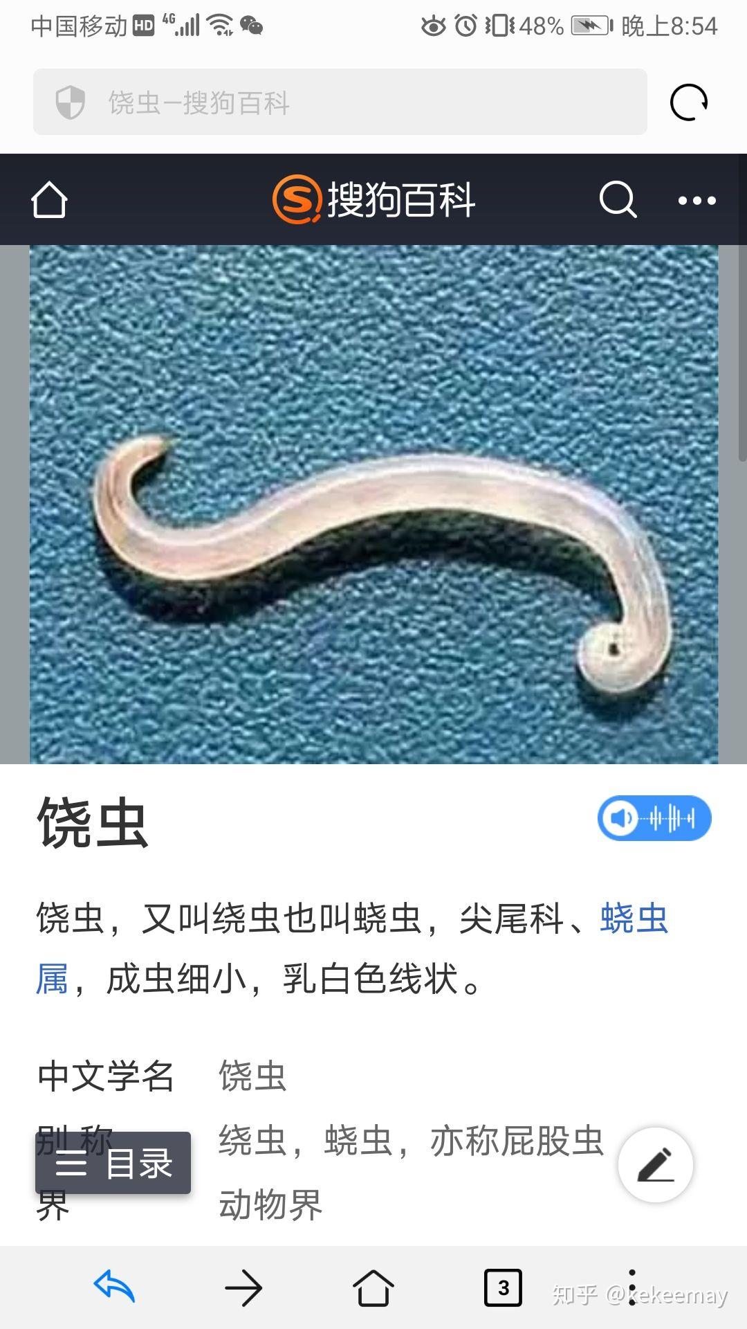 猫咪拉出白色寄生虫是什么虫子? - 知乎