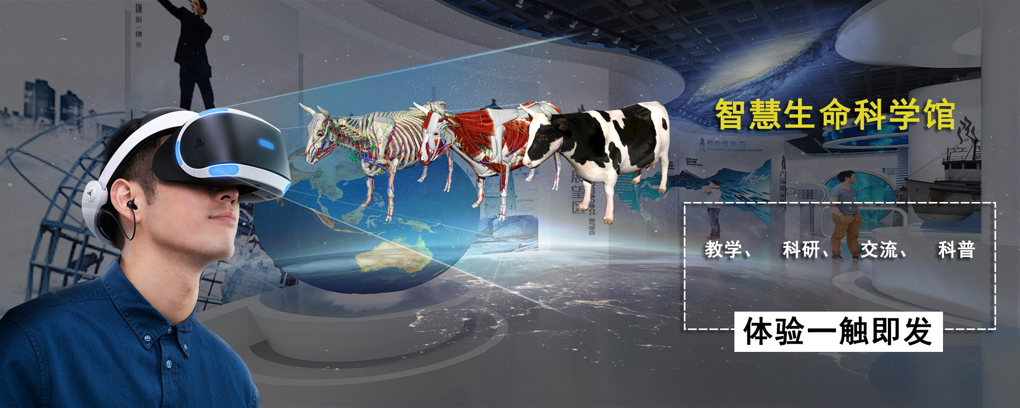 探索动物解剖VR教学平台:带你融入奇妙动物世界的虚拟体验 - 知乎
