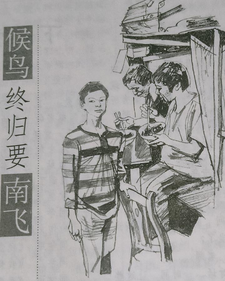 候鸟终归要南飞 - 知乎