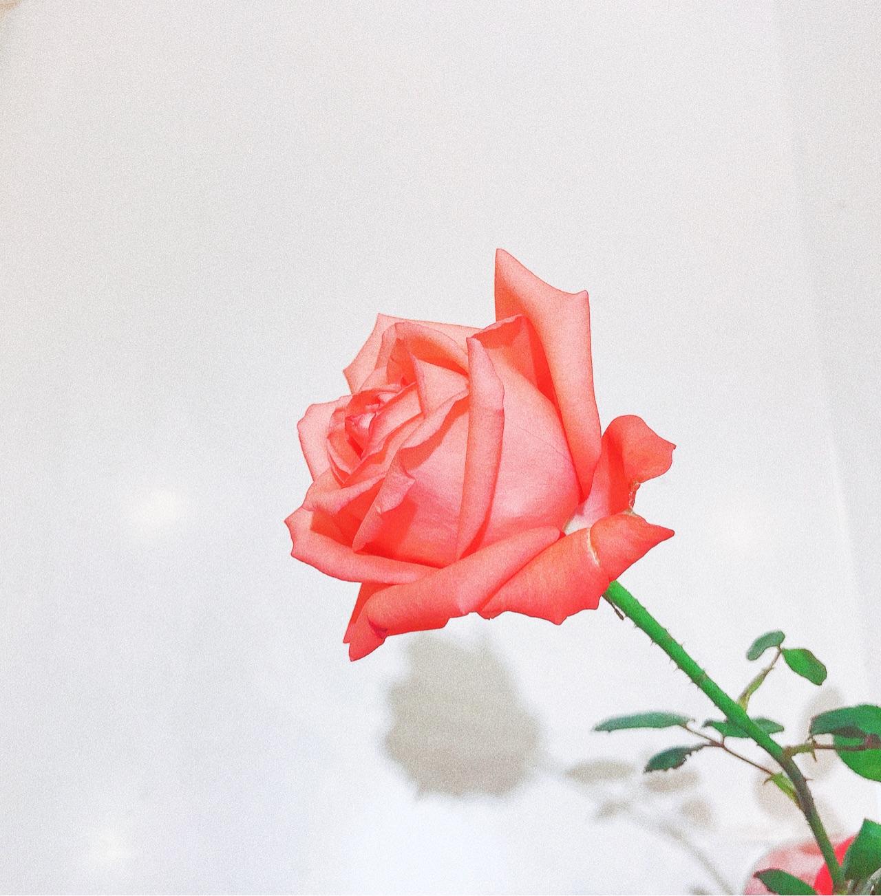 如何判断一个人是否喜欢你?