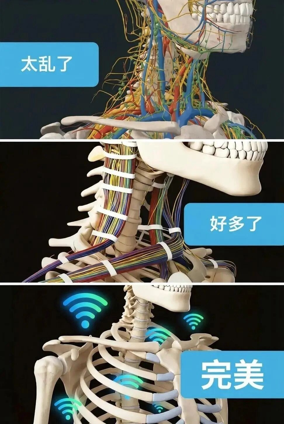 人类基因是一套屎山代码吗？