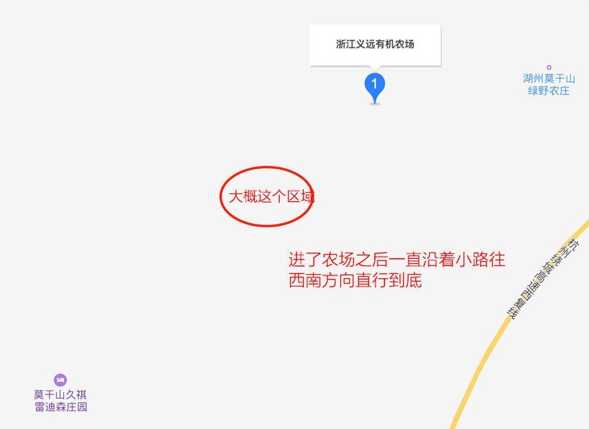 带你一次性打卡,杭州18个拍照圣地!