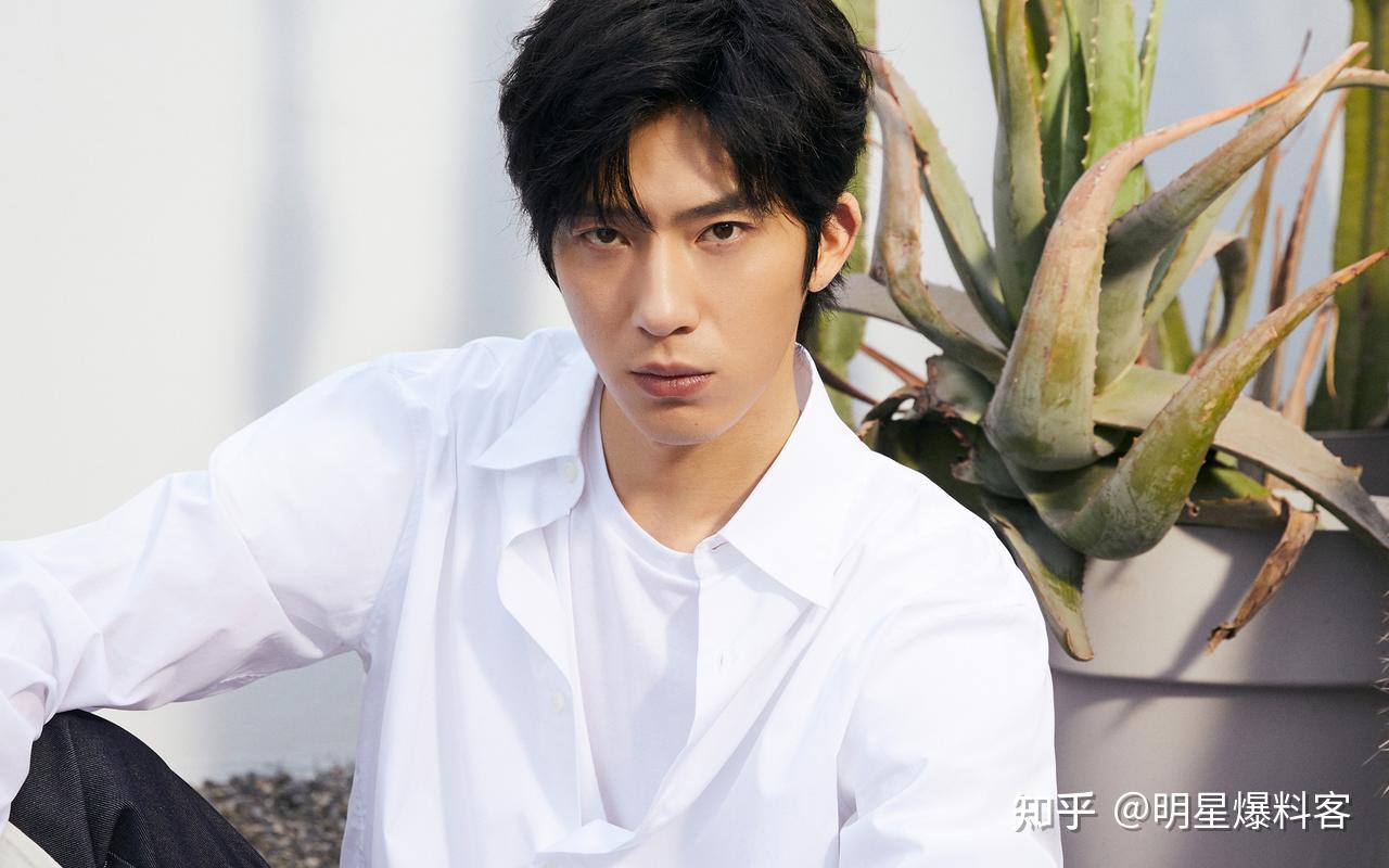 娱乐点评赵丽颖井柏然彭昱畅彭于晏王东张若昀