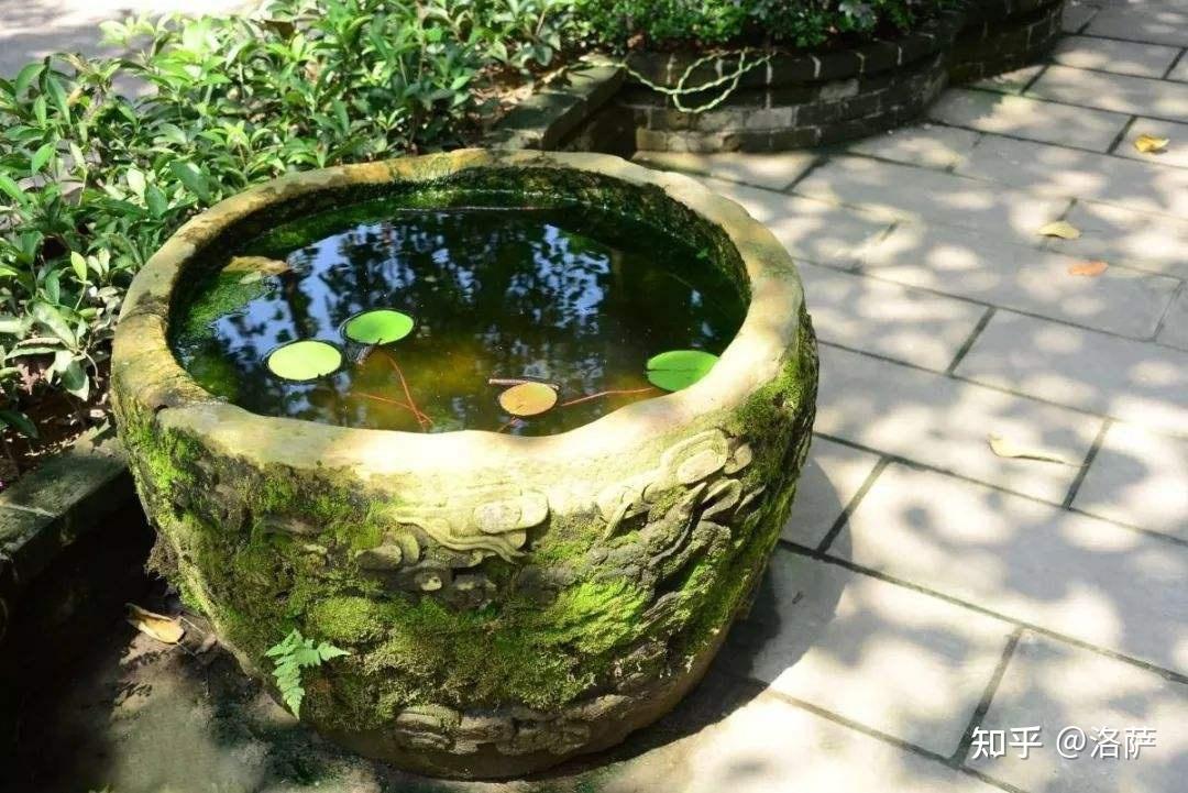 古法养鱼靠谱吗？ - 知乎