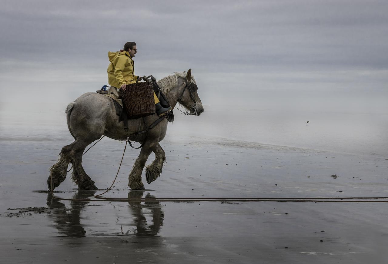 无锡羊腰湾在哪里
