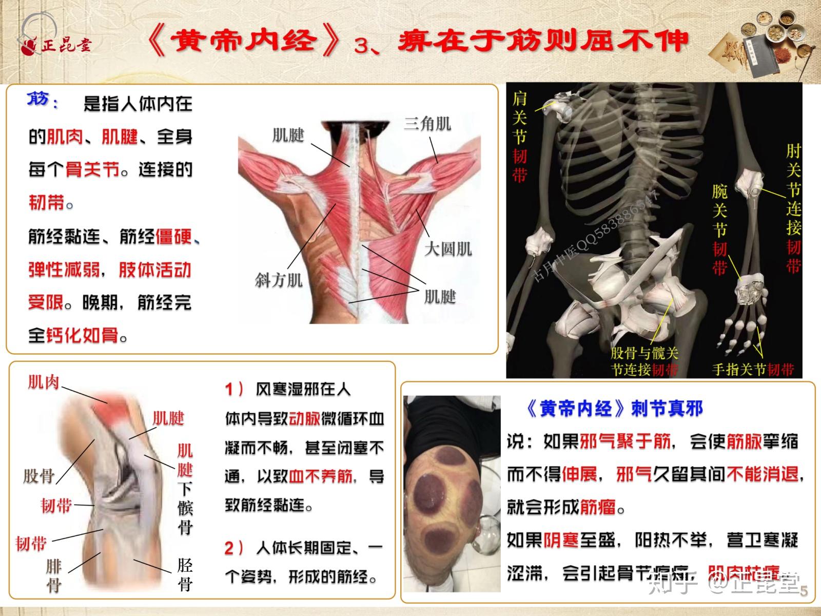 人体不适或疼痛的原因自我辨别