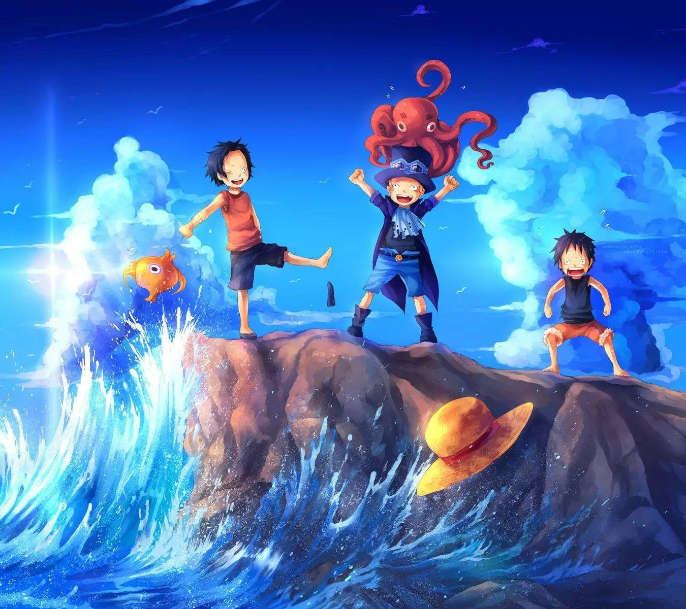 大神们有没有海贼全举手背影的手机壁纸啊还有桑尼或者梅丽好看点的