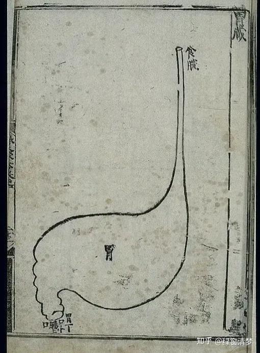 倪海厦针灸课笔记(05)- 任脉之水分、下脘、中脘、巨阙及基本补泻手法 - 知乎