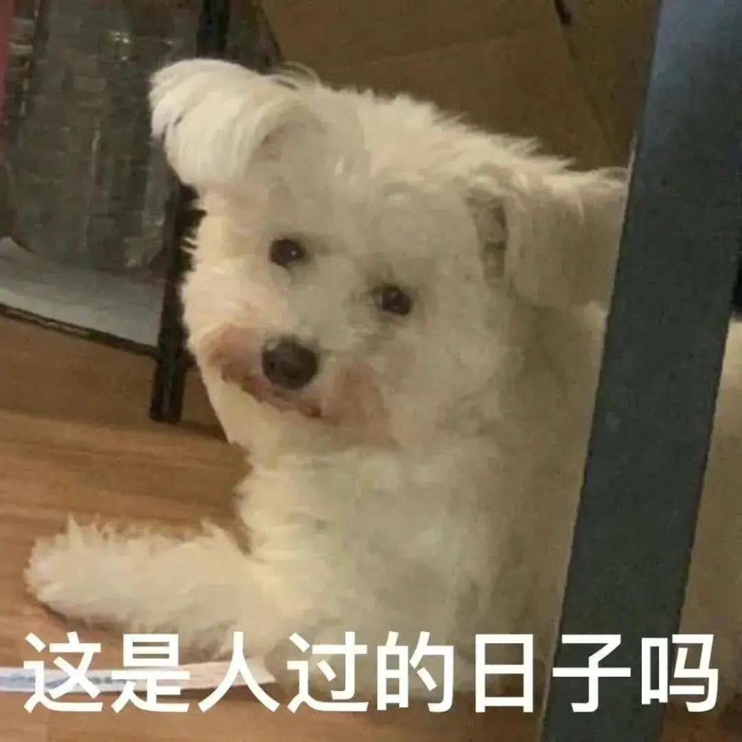 狗勾emo表情包|恭喜生活喜提我狗命! - 知乎