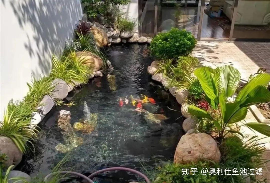 庭院鱼池这样设计实在太美了