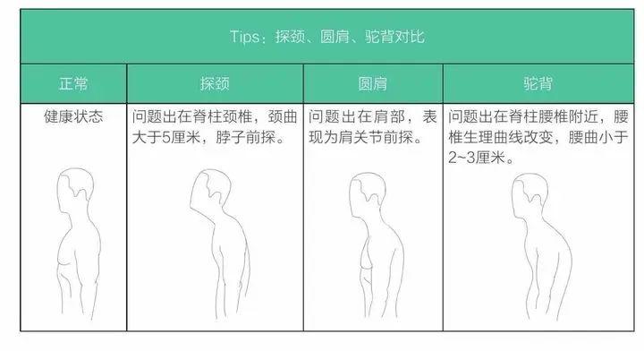 做完这5个动作,这个背是很难驼下去了! - 知乎