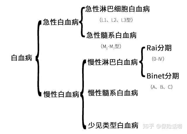 什么是白血病?