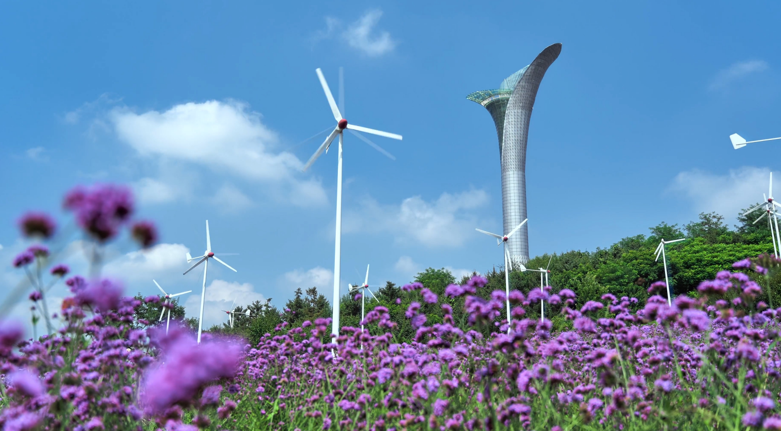 2024年沈阳夏季旅游详细行程夏天的沈阳才是王炸89月最佳旅行地之一