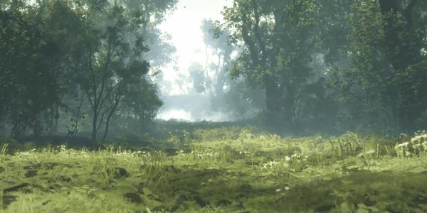 《猫猫的奇幻漂流》100%好评,2024神作,全片无台词的它凭什么?