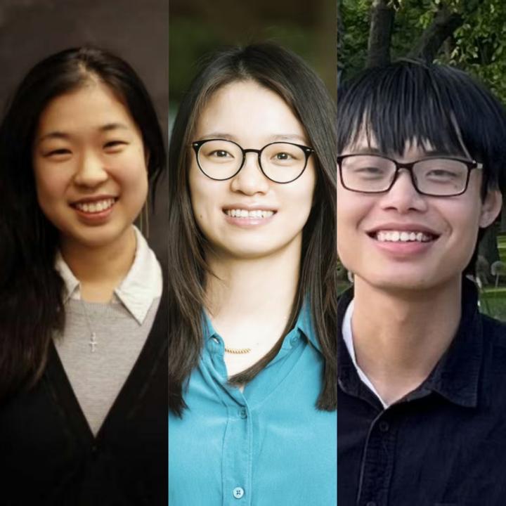 王虹在法国高等科学研究所的官网页面上线;王艺霖、王虹和陶中恺先后任IHES终身教授和初级教授 - 知乎