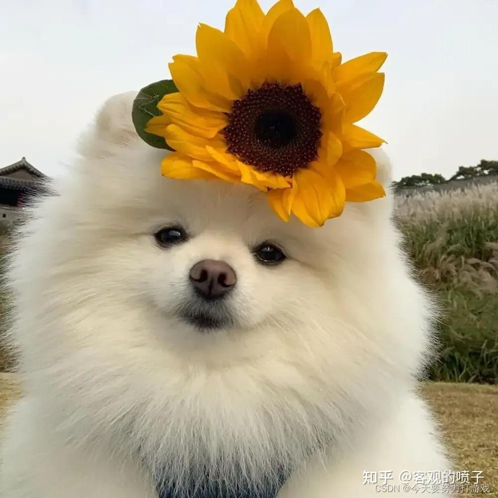 CMU15445 (Spring 2023) Project #0 - C++ Primer - 知乎