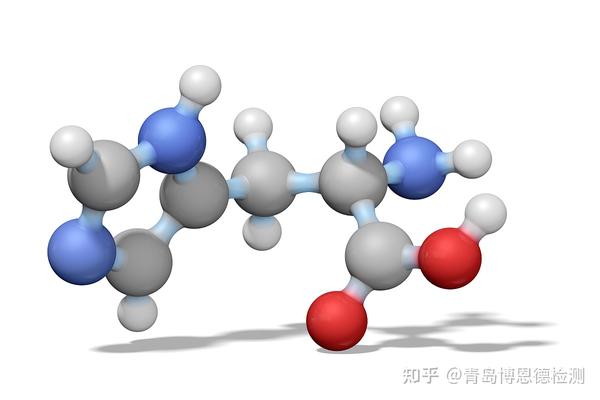 氨基酸检测方法 氨基酸检测标准 知乎 
