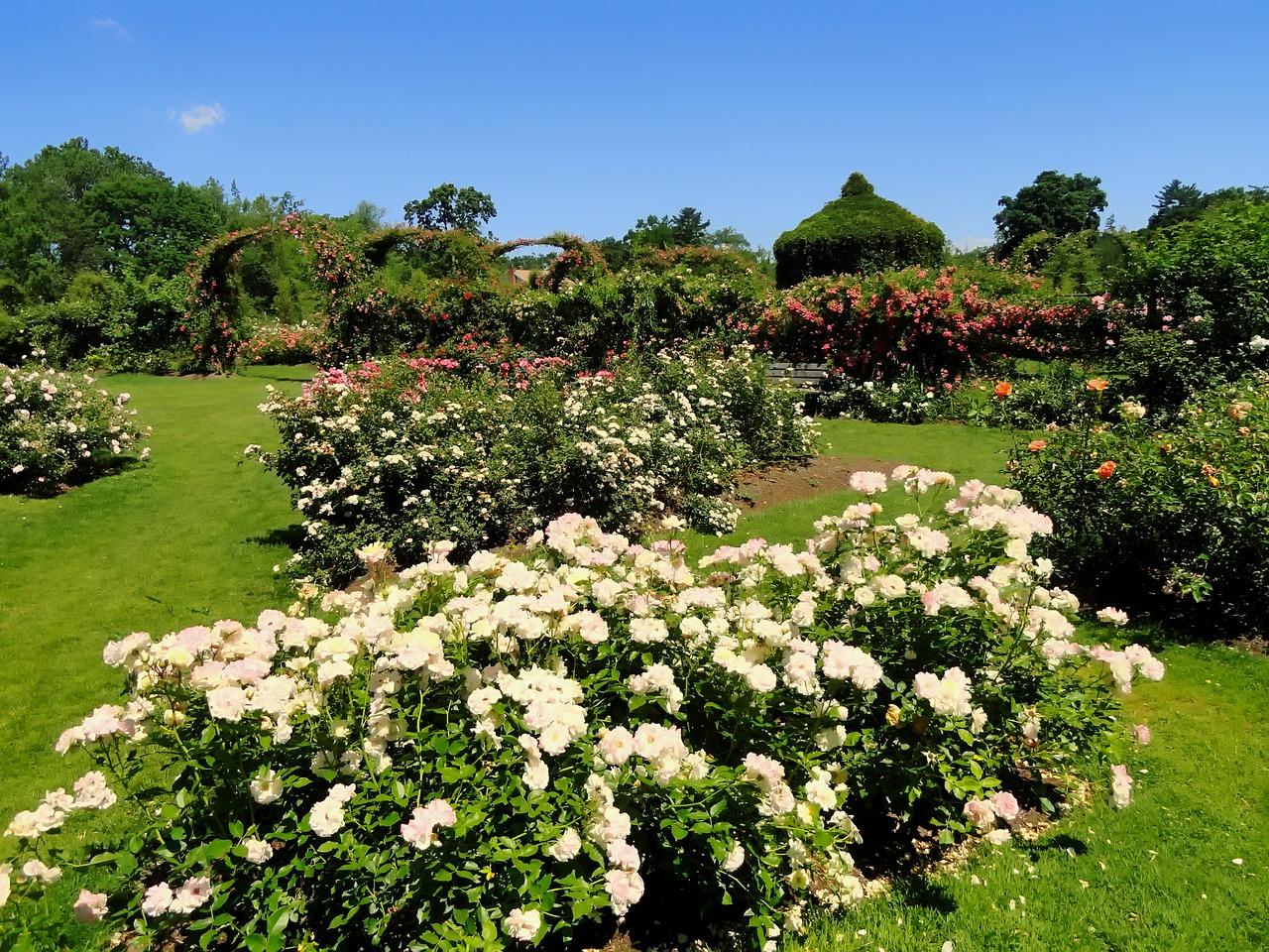 2. 户型特色解读