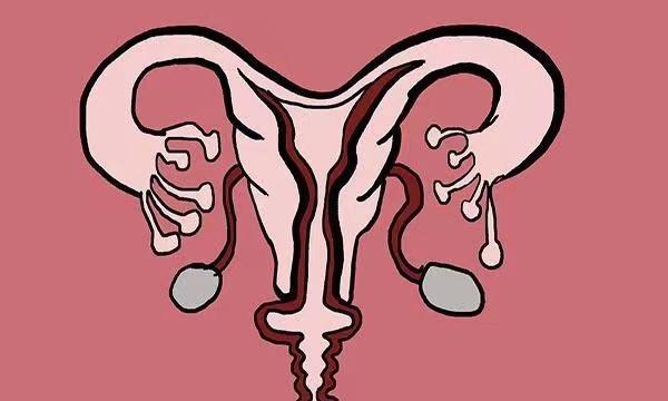 相亲对象的妈妈骂我骗婚,不信我是"石女",先天不来月经.