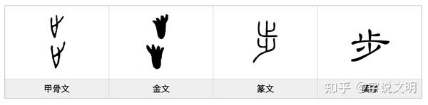 步——每日一字·止部字 - 知乎