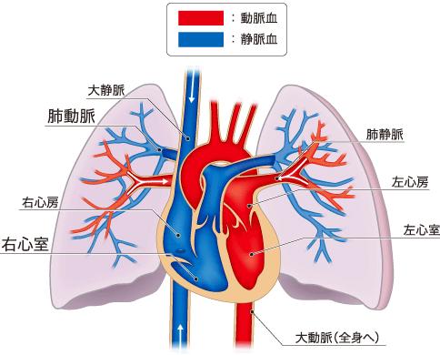 科侯小萌醫生就介紹,菸草以不完全燃燒的形式散發出7000多種化學物質