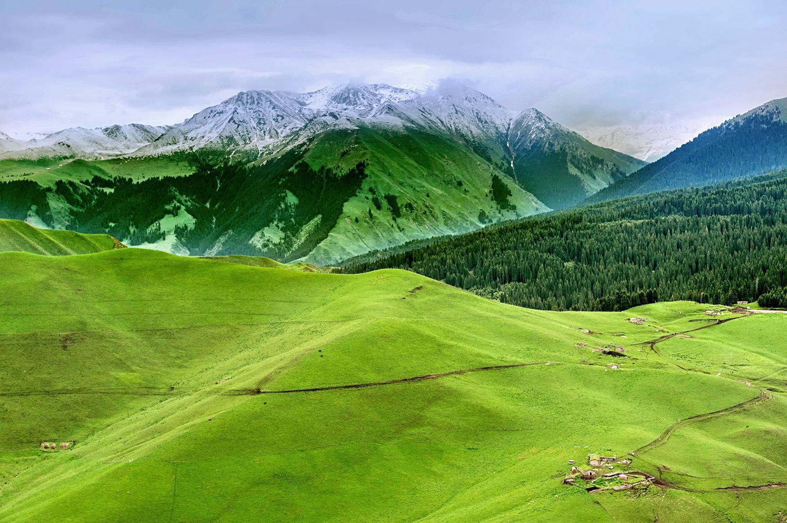 来新疆必去看的15大草原风景-地域差异各有不同 - 知乎