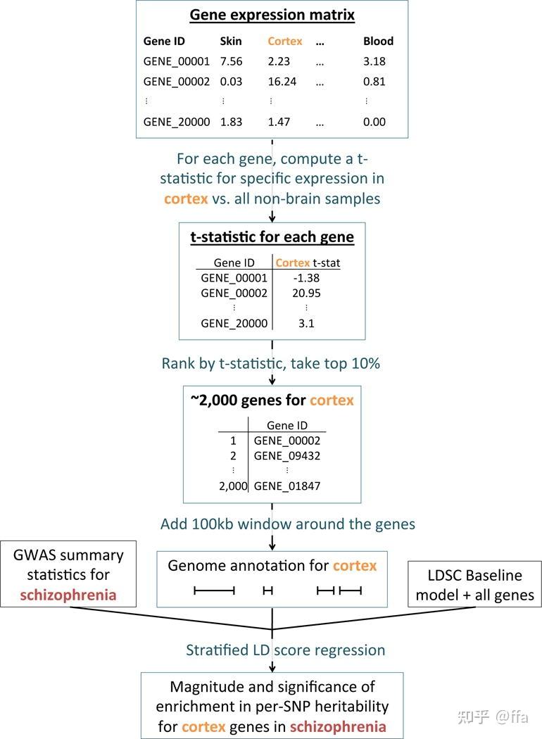 Gwas R Code GWAS研究基本概念4——GWAS+scRNA工具列表 - 知乎