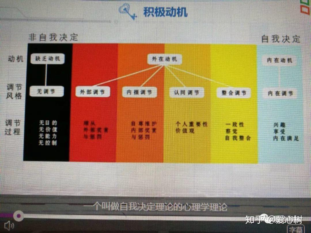 来看积极心理学家怎样引导孩子的学习动机