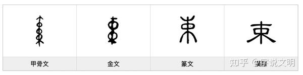 束——每日一字·木部字 - 知乎