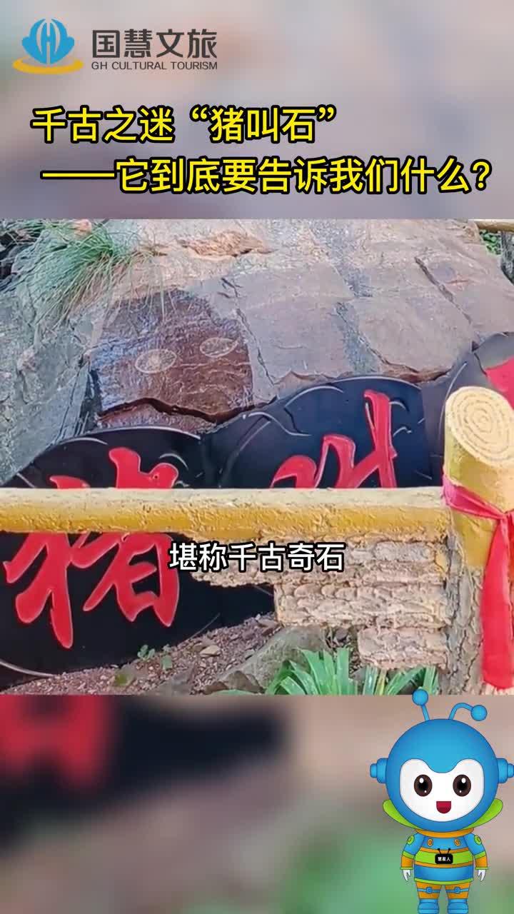 2022年会发生什么？“猪叫石”都在预言这一结果 - 知乎