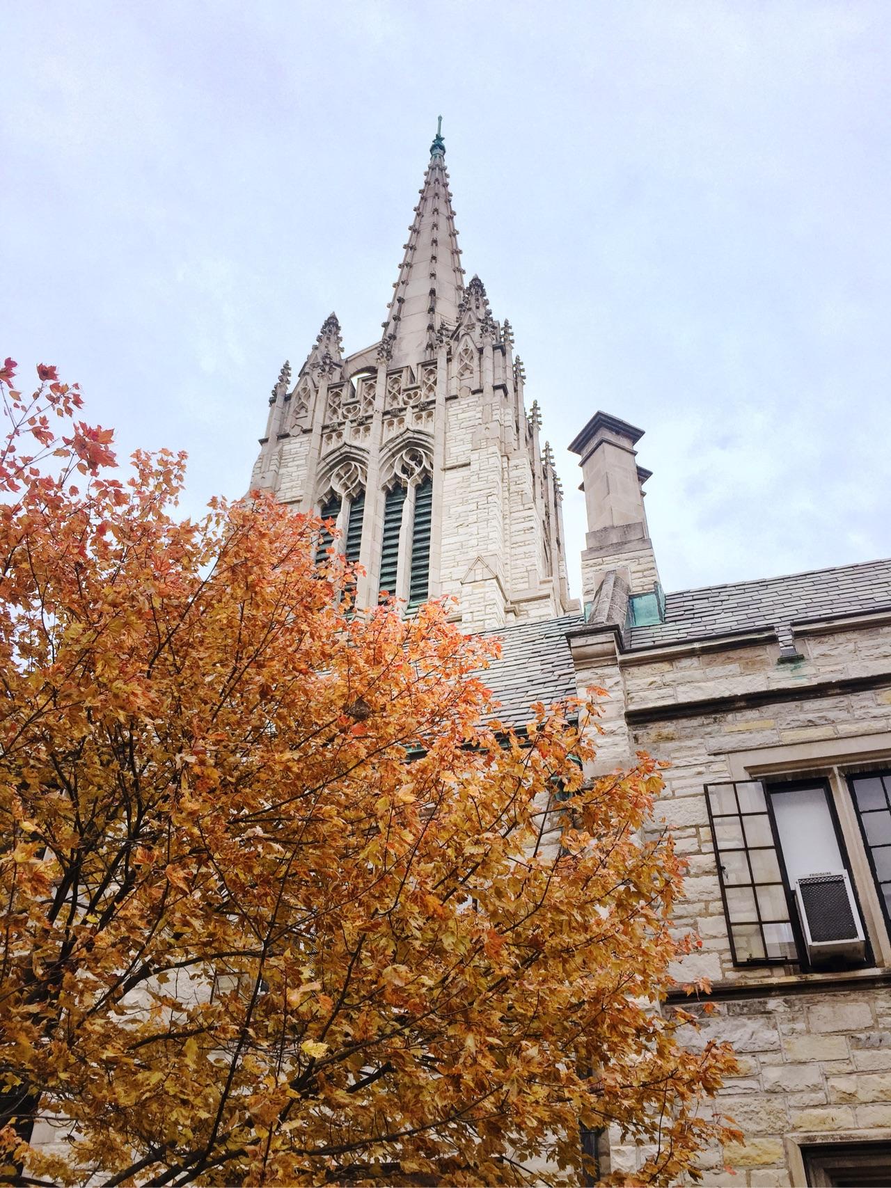 在美国西北大学 (northwestern university) 就读是怎样一番体验?