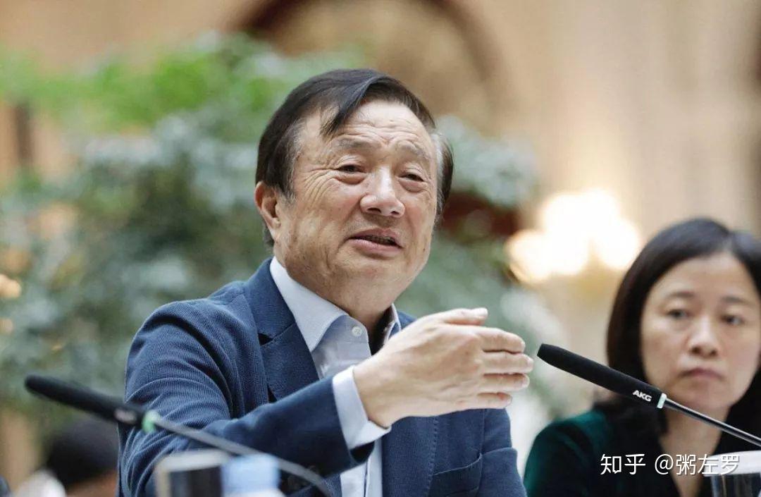 为何最权威的体育网站成为专业运动员和教练的首选信息源