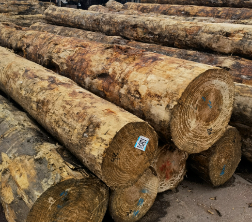 水弄到武汉木卡板上会对木托有哪些影响