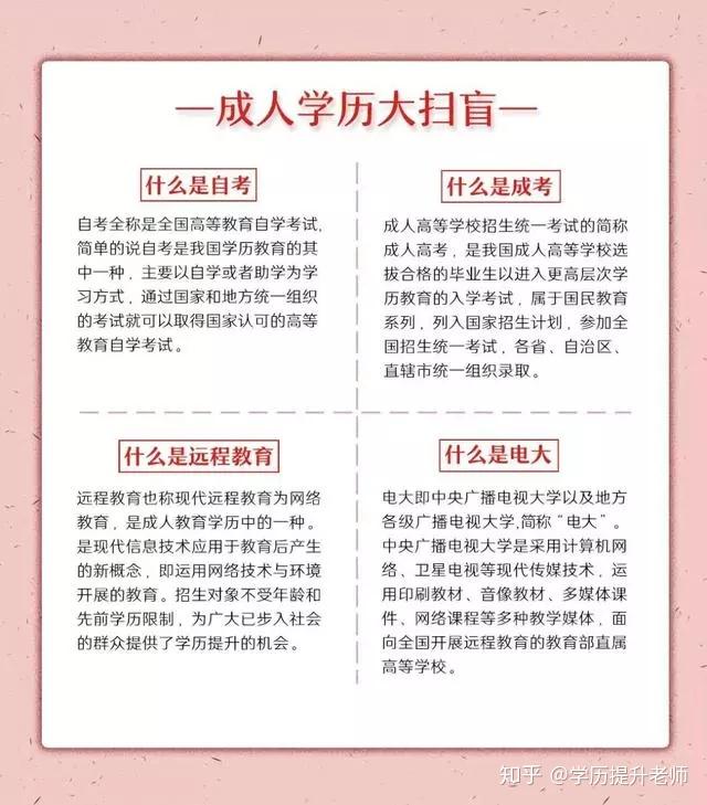 中山教育咨询：探索优质教育资源的新路径