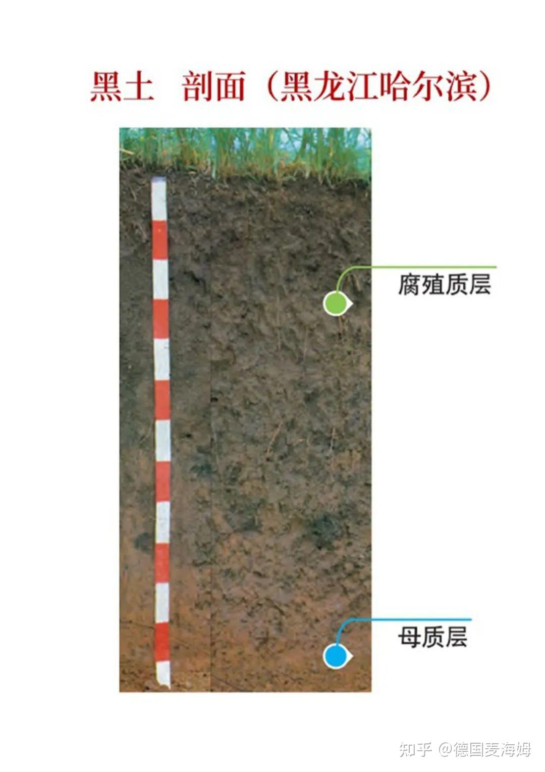 土壤知识详解大全 - 知乎