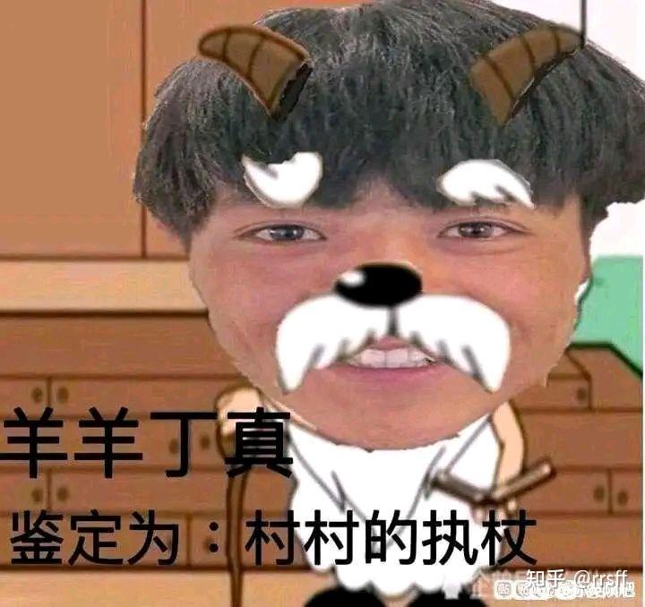 如何评价丁真鉴定? - 知乎