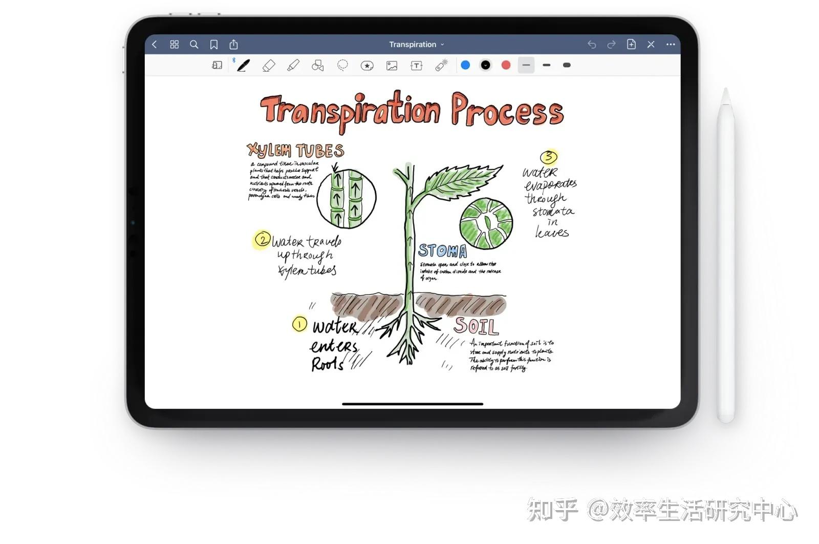 求推荐安卓平板PDF笔记软件? - 知乎