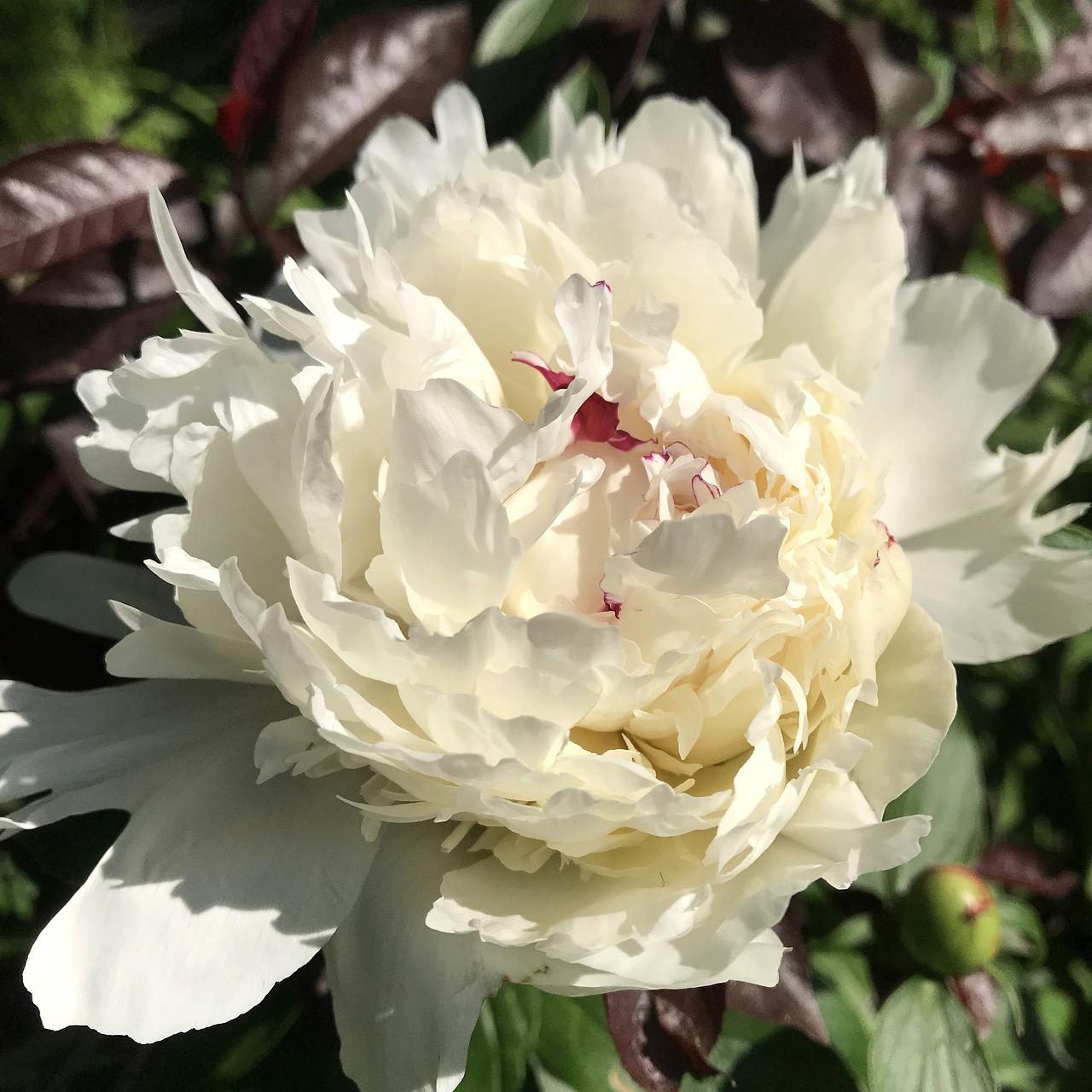 别墅户型设计亮点