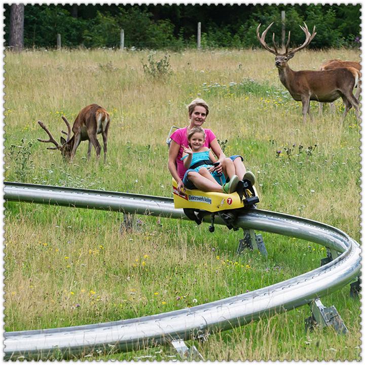 单轨滑车单轨道滑车轨道式滑车项目