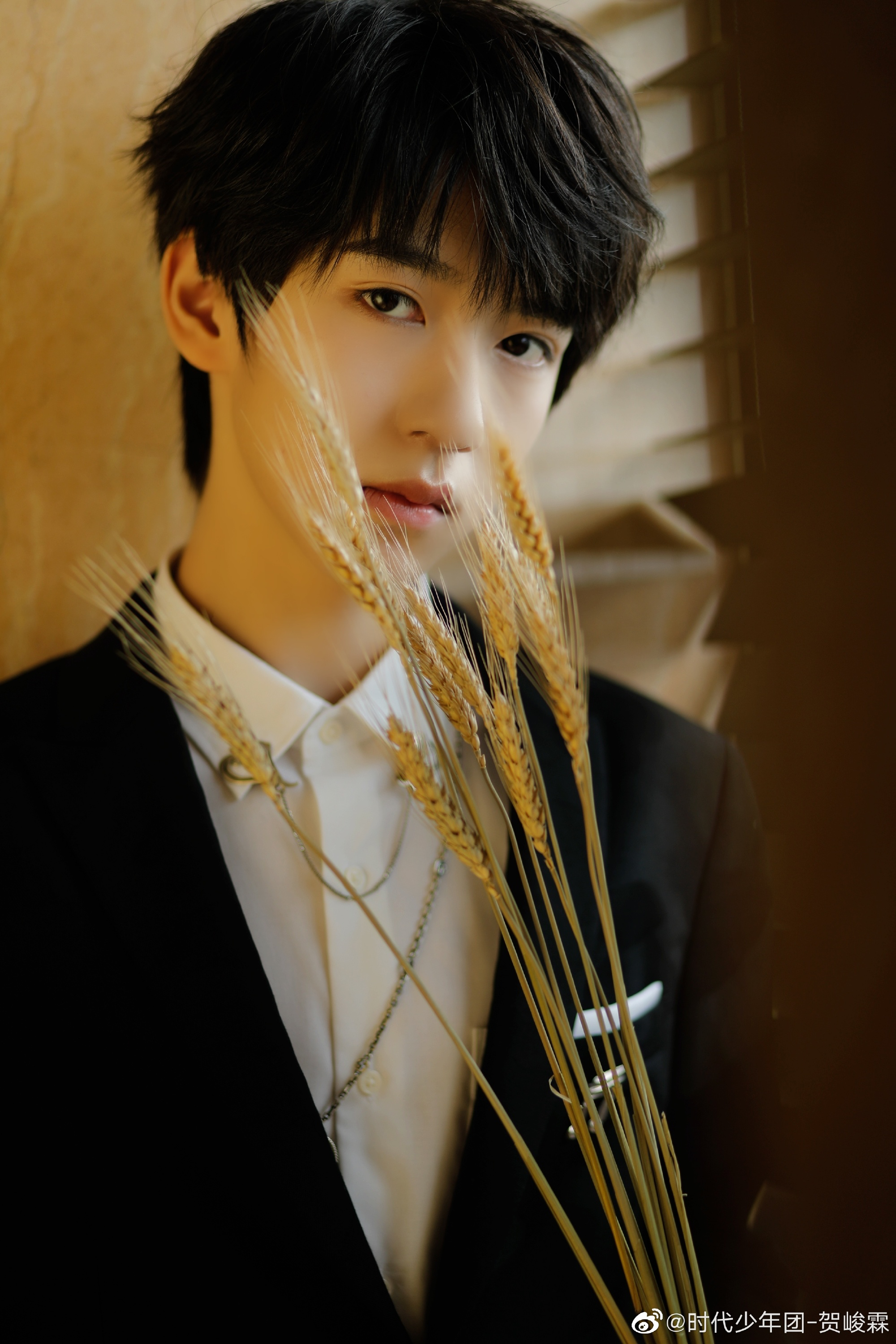 有什么贺峻霖绝美照片? - 知乎