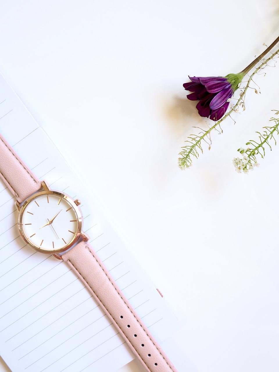 4. 查看还款记录