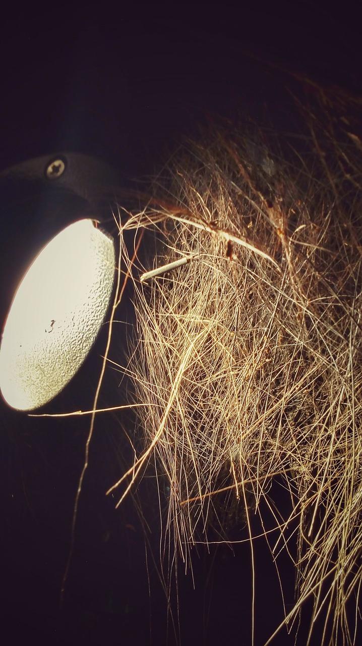 低密度社区环境