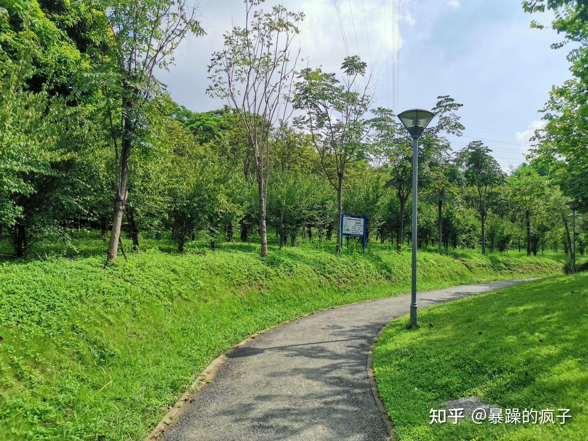 深圳周末一个人去哪玩—平湖生态园 - 知乎