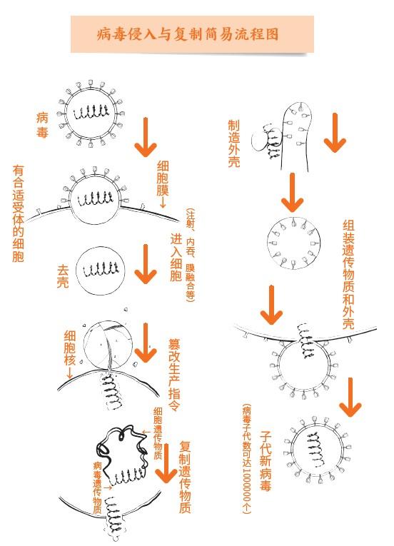 552_765竖版 竖屏